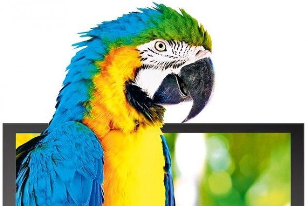 Τυφλοί παπαγάλοι…