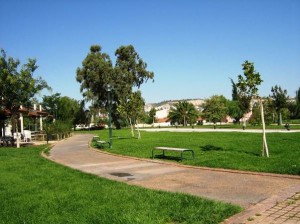 image002