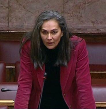 Σκληρή απάντηση Σακοράφα στις απειλές της εταιρείας “Ελληνικός Χρυσός” μετά από παρέμβαση της στην Ευρωβουλή για τις Σκουριές