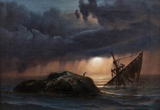 Συνεπιβάτες σε μια χώρα καρυδότσουφλο