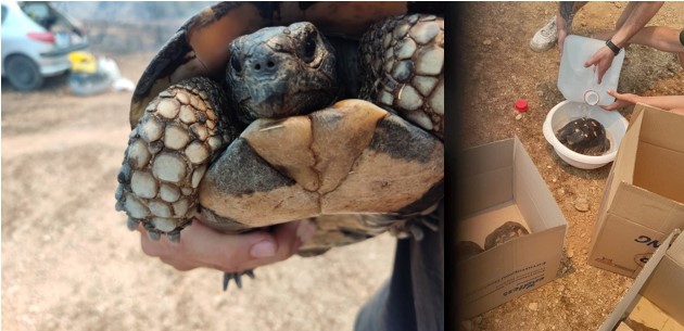 “Χαμογελαστές”, δράσεις από τον “Ρουβίκωνα”