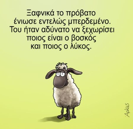 Στο μυαλό των αιγοπροβάτων.