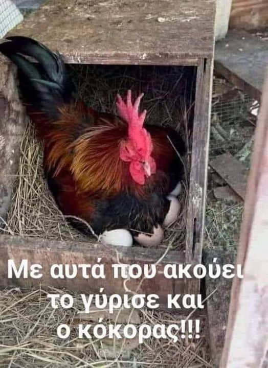 Σαδιστικά καθάρματα.