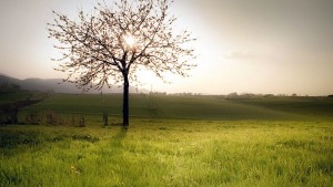 Στις κρύπτες της άνοιξης φυλαγμένες ζωή και επανάσταση