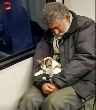 Κράνος να πάρεις!