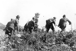 Φαράγγι της Σαμαριάς, ξημέρωμα 4ης Ιούνη 1948