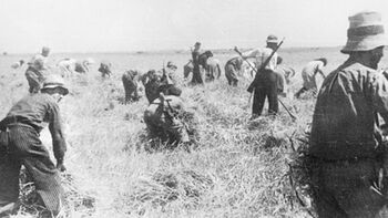 Σαν σήμερα ταγματασφαλίτες και ναζιστικά στρατεύματα συντρίβονται από τον ΕΛΑΣ σε μάχη στο χωριό Κοσκινά Καρδίτσας