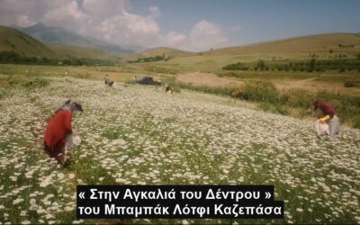 Στην αγγαλιά του δέντρου του Μπαμπάκ Λότφι Καζεπάσα από τις 16/4 στους κινηματογράφους σε Α’ Προβολή