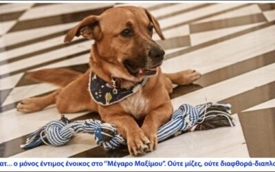 Αναρωτιόμαστε «γιατί;»
