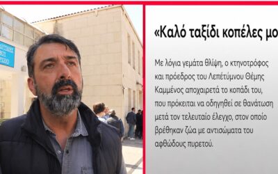 «Καλό ταξίδι, κοπέλες μου» — Η αγωνία ενός κτηνοτρόφου μπροστά στη θανάτωση του κοπαδιού του