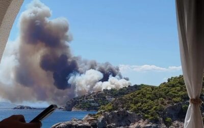 Τραγωδία στη Σαλαμίνα: Δύο νεκροί, σπίτια στις φλόγες και η υποκρισία της Ν.Δ. που δεν τελειώνει ποτέ